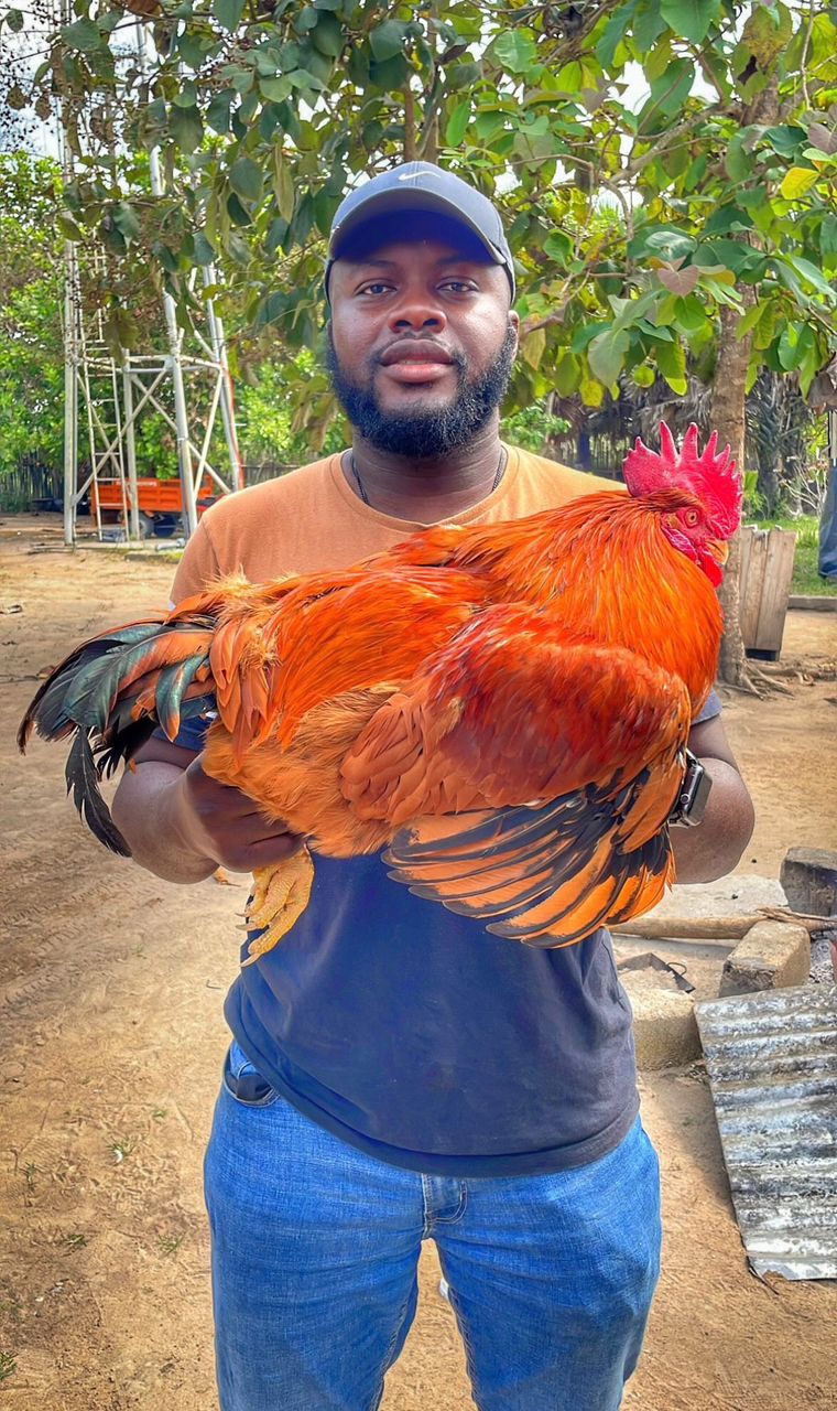 Ferme Taaboland